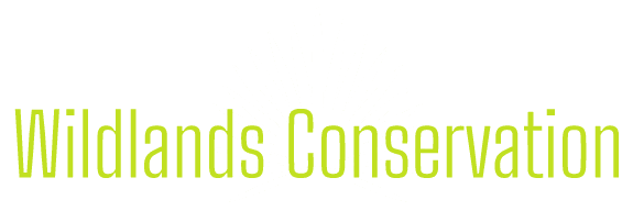 template-logo-comp_01 Wildlands Conservation Logo